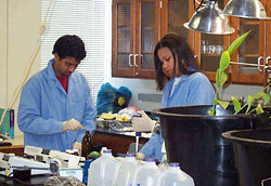 hazardous waste and environmental design treatment lab