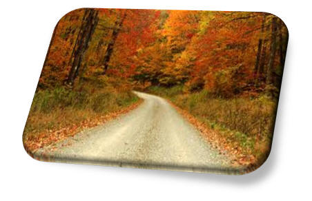 Fall road