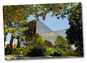 Business Building