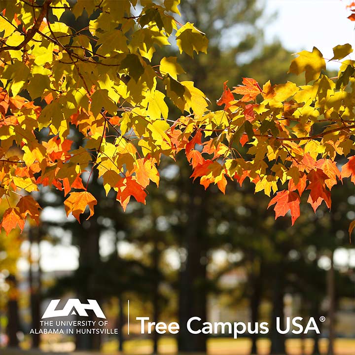 UAH - Tree Campus USA