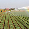 irrigationimg