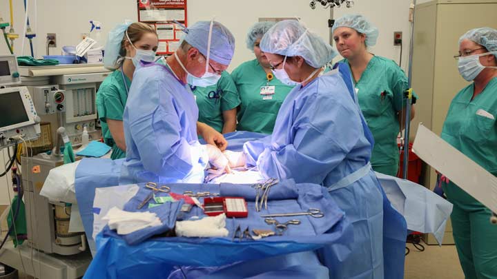 Hospital-hosted simulated surgery offers nursing students interprofessional education experience ?>