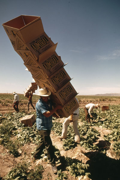 9 Mexican_Farm_Workersmall