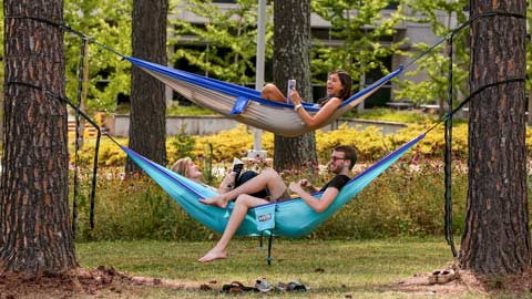 students studying in hammocks tied between trees on UAH campus
