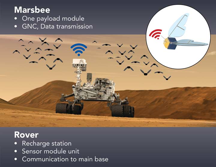 Marsbee one payload module, GNC, data transmission. Rover, recharge station, sensor module unit and communication to main base.