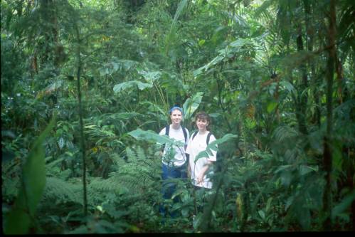 monteverde-reserve