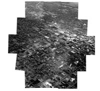 pollock-RP-021