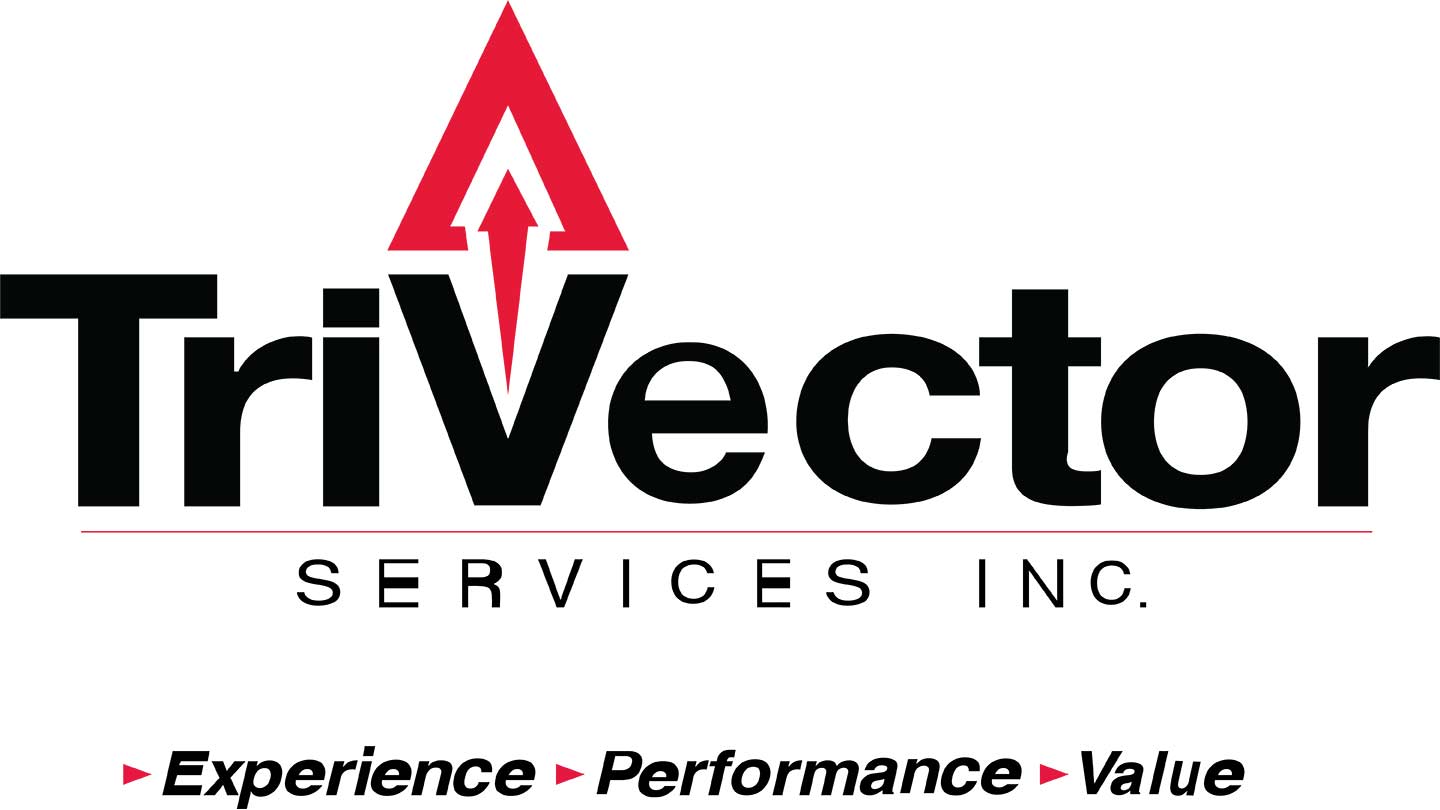 TriVector Services Inc Logo.
