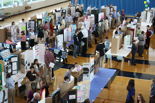 narsef 2013