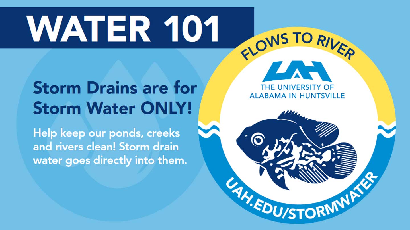 a graphic discouraging the use of storm drains for general disposal