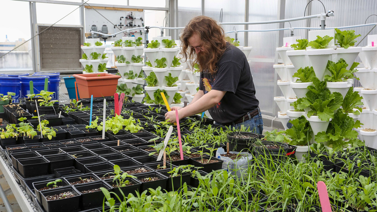 biology student greenhouse 2