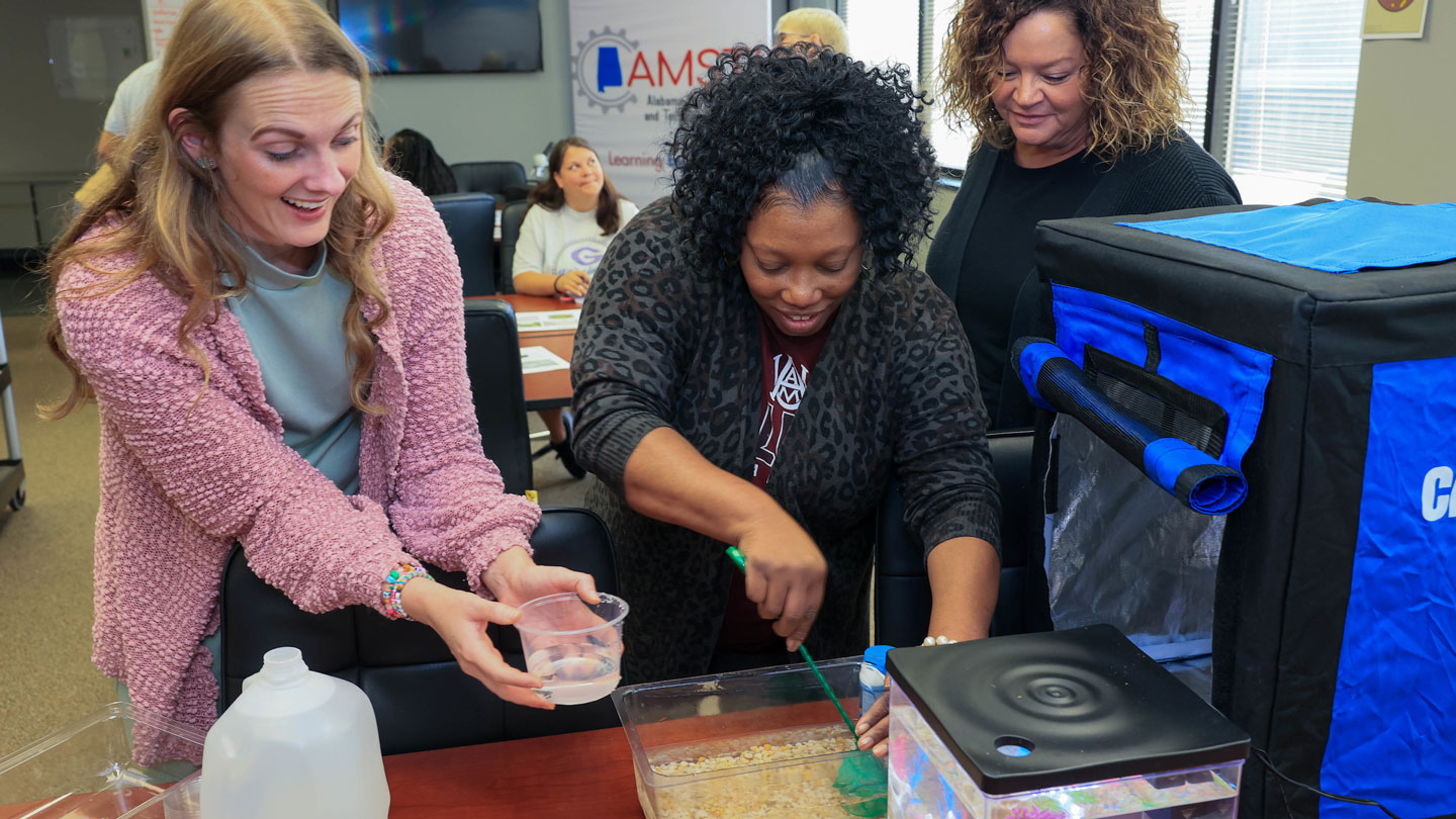 Women prepare a presentation on animals