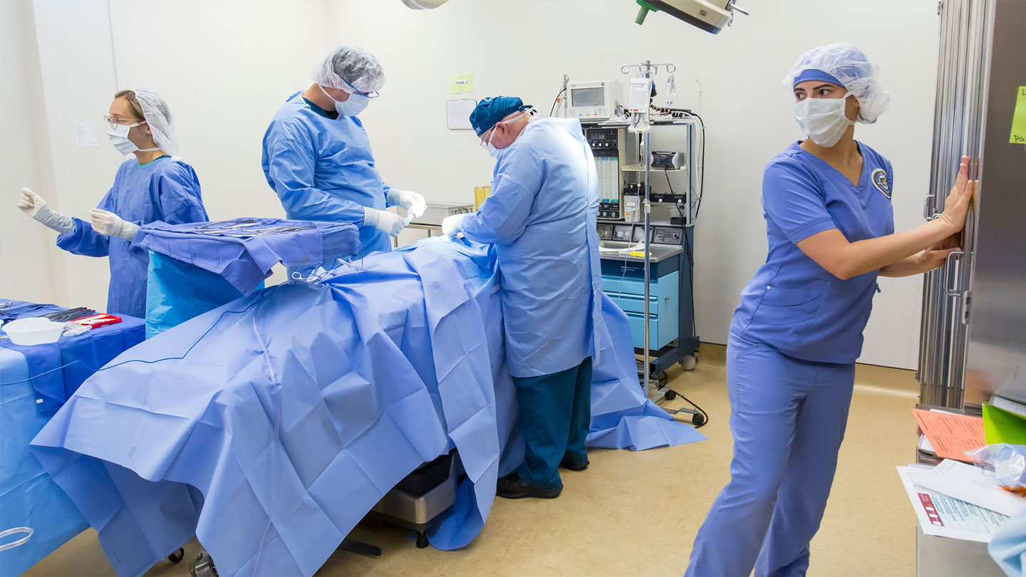 nurses in surgery