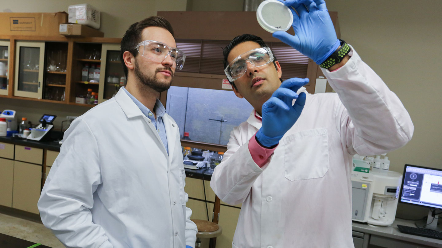 Two men in lab coats examine a petri dish