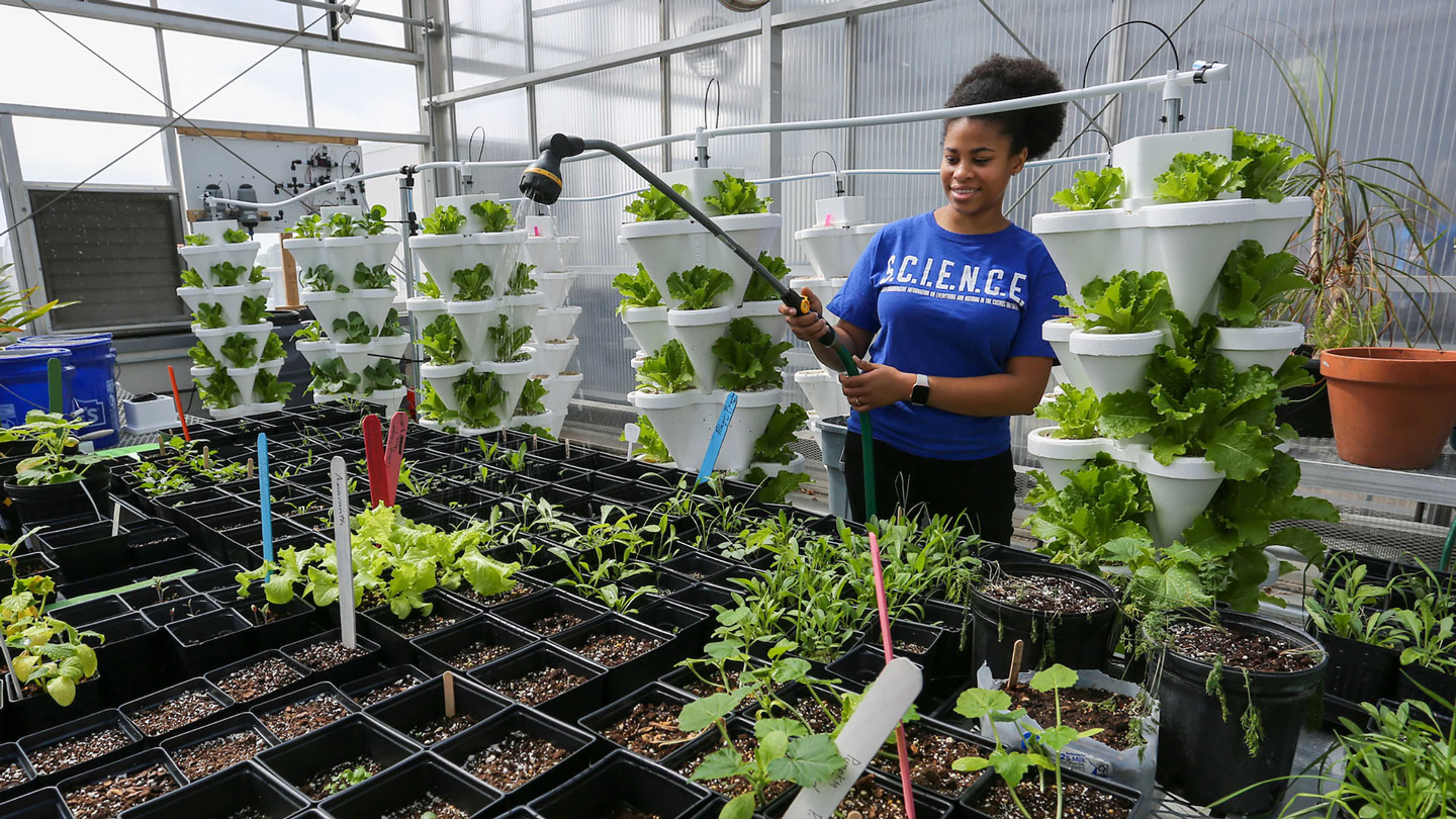 A student happily waters plants in the campus greenhouse