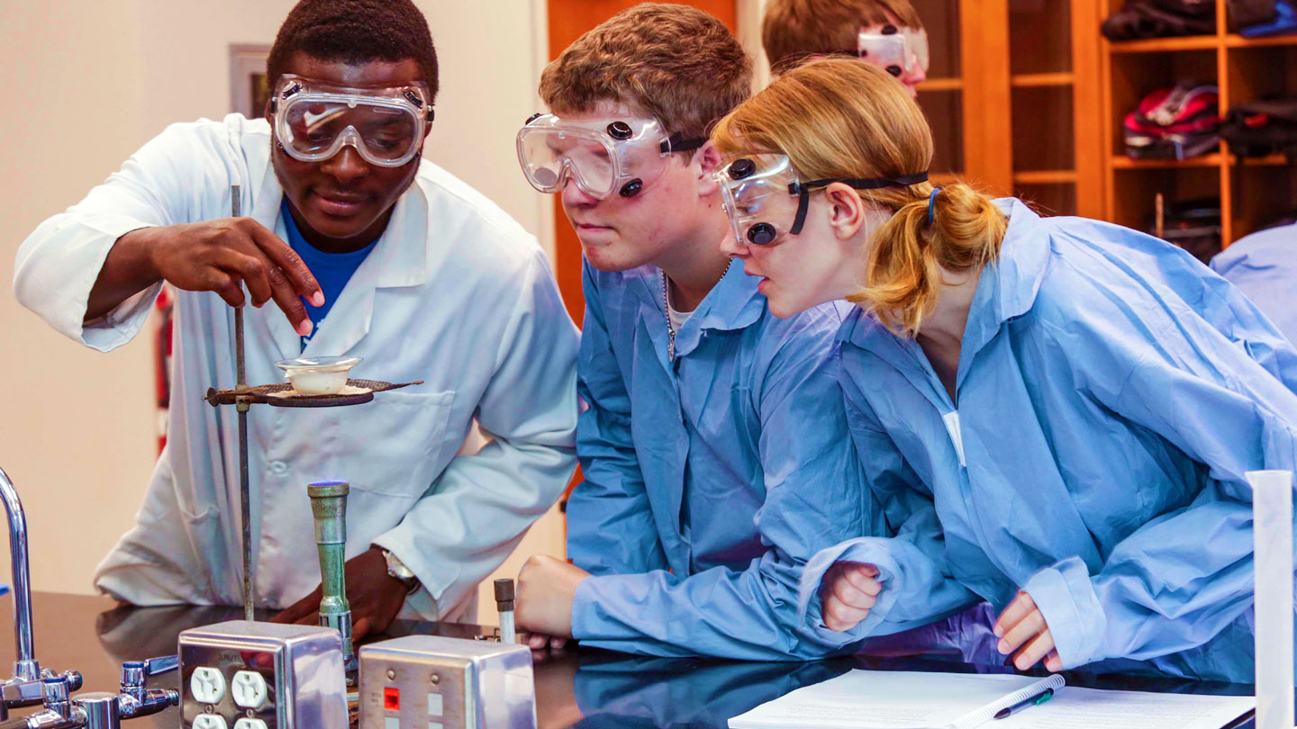 Students lean in with interest to examine an on going experiment