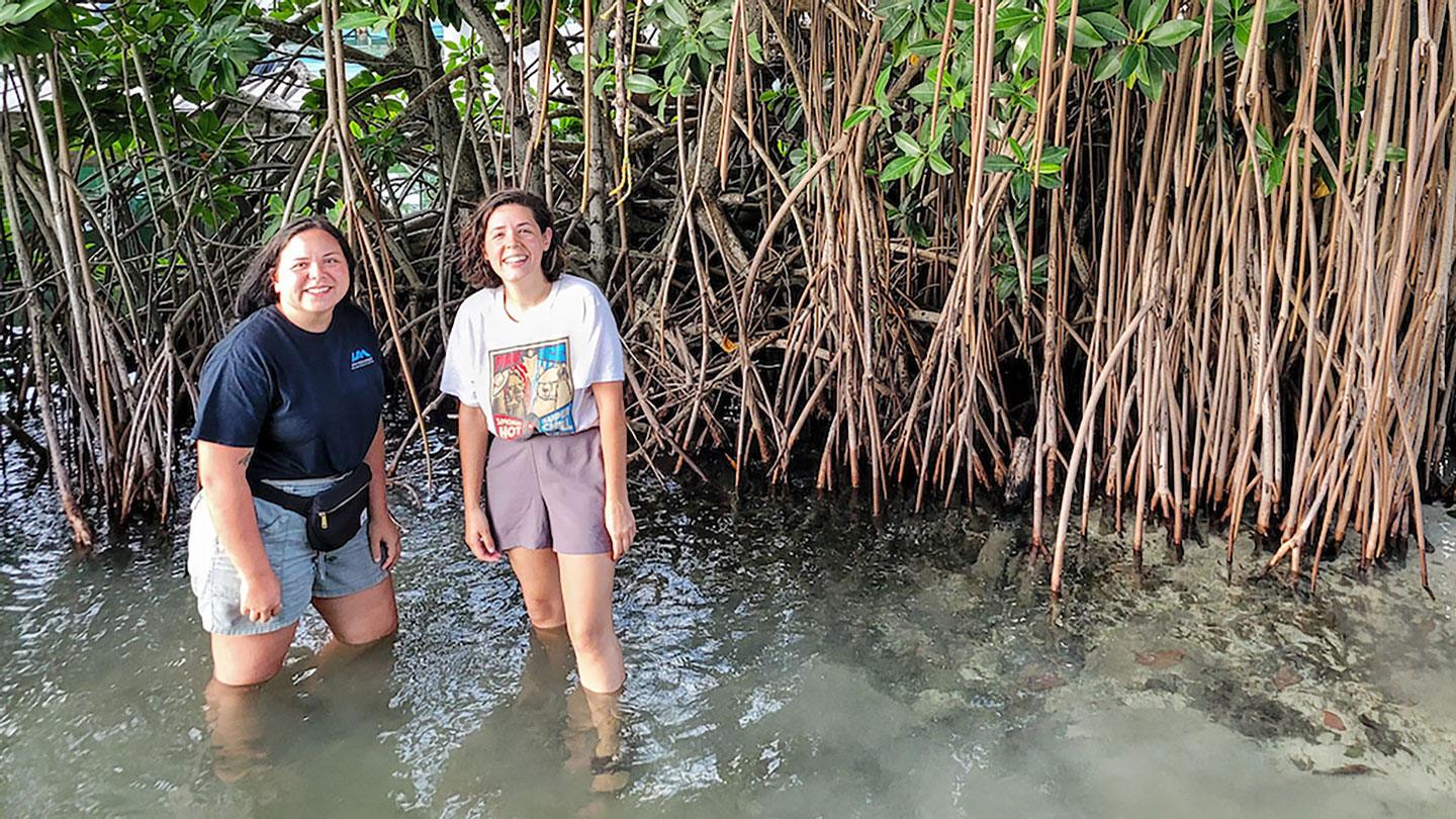 Two students stand happily in a mangrove swamp