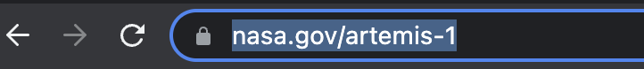 an example url in a generic search bar