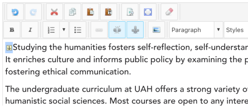 An image of text with an anchor inserted