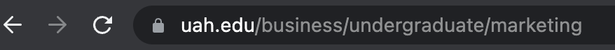 an example url in a generic search bar