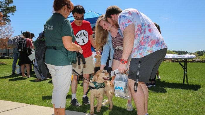 studnents petting a therapy animal at a UAH counseling center event