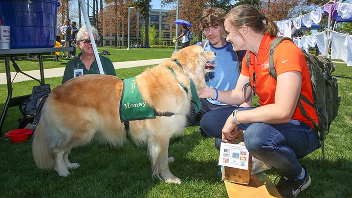 therapy dog and students at uah fresh day