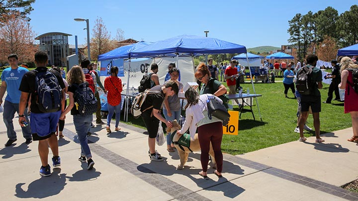 students visiting booths at uah fresh check day and petting a therapy dog