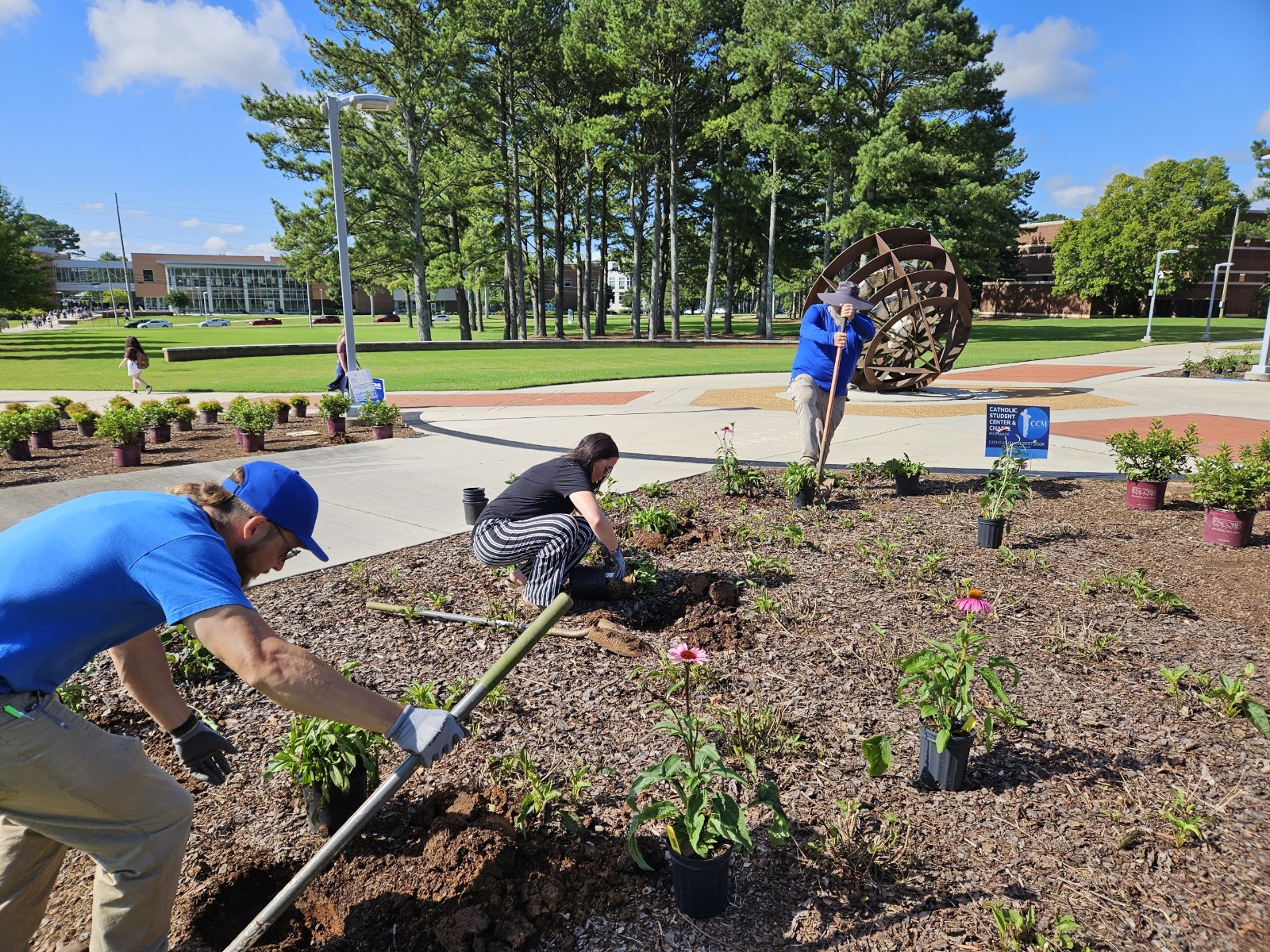 UAH grounds team tend to flower beds