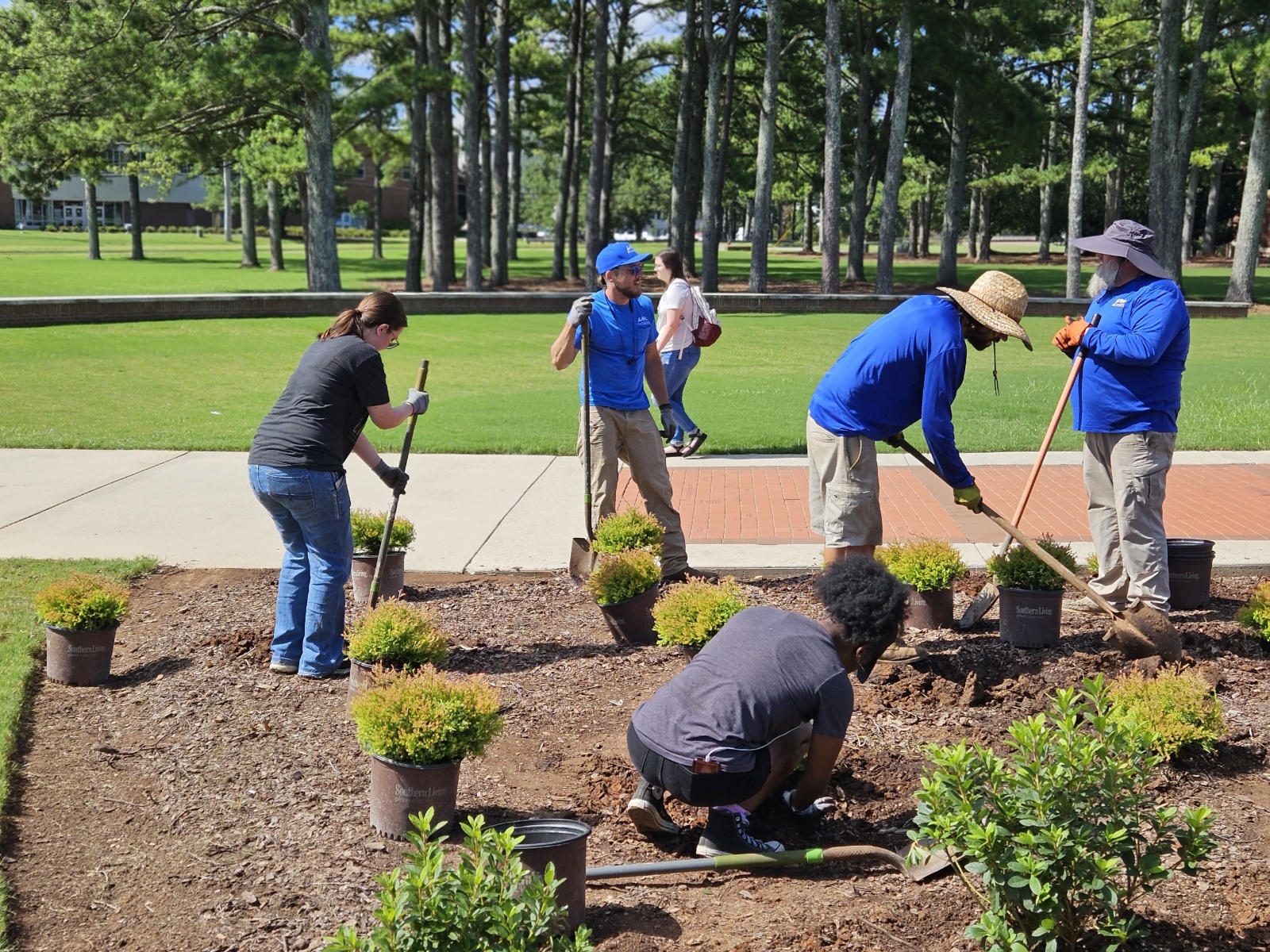 UAH grounds team tend to flower beds