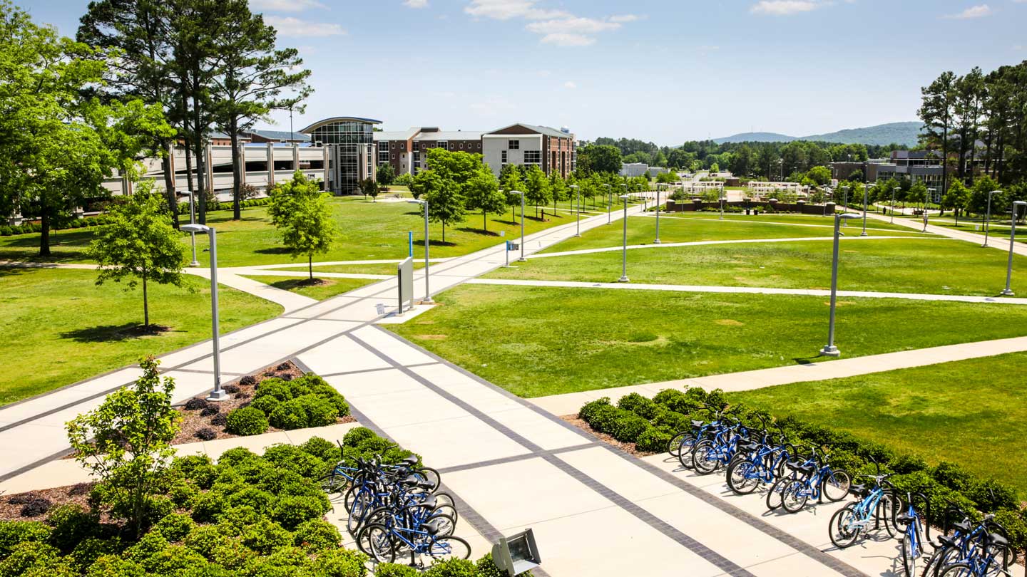 charger lawn
