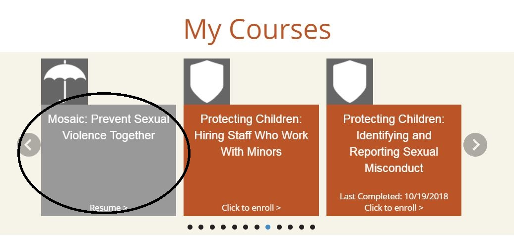 titel IX training screenshot