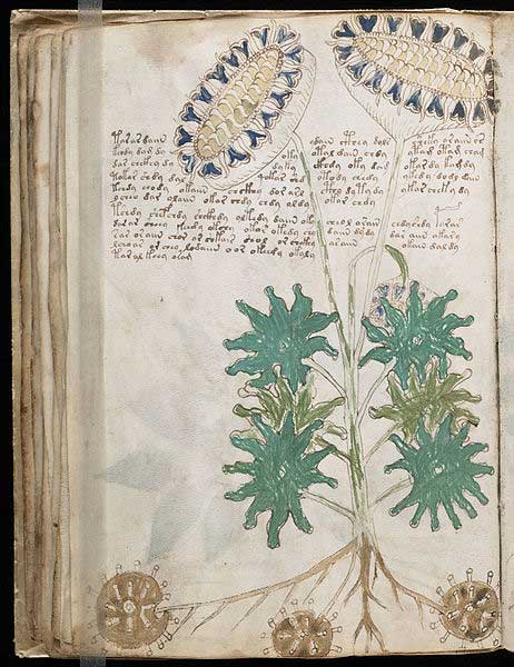 Voynich Manuscript