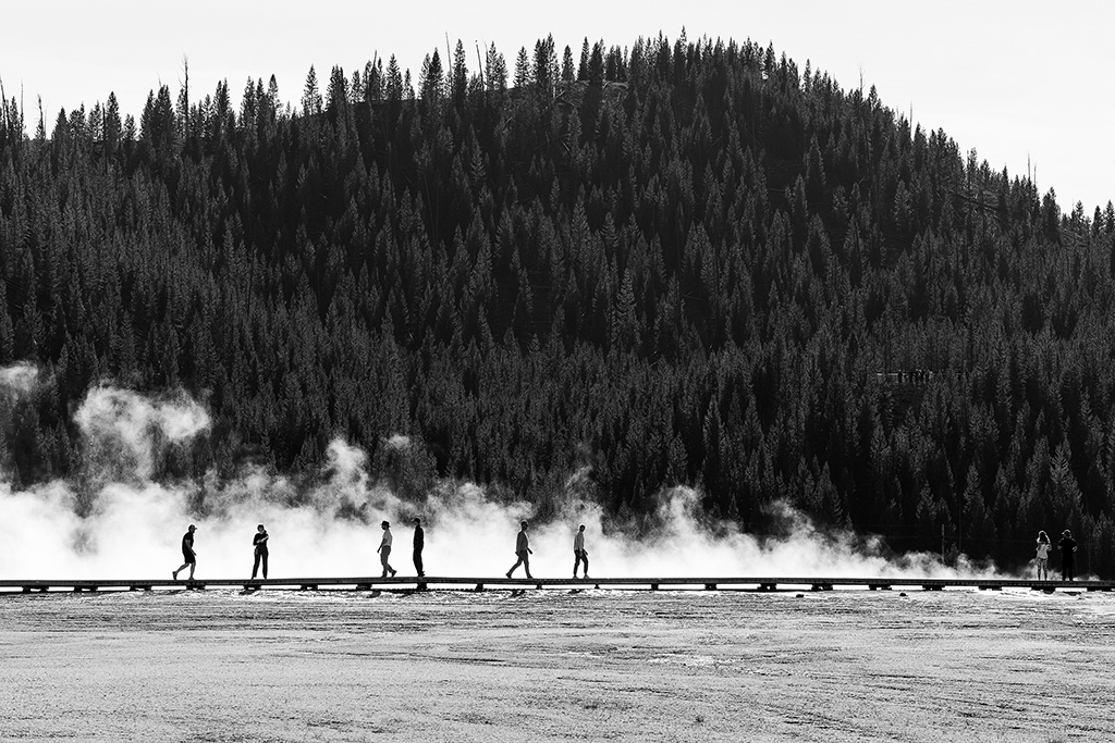 3rd place alice searcy yellowstone 1