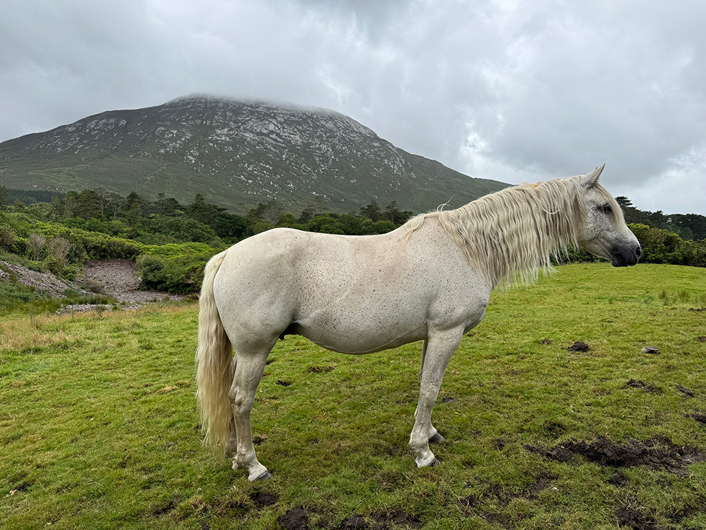 hm sue farbman kylemore abbey ireland 1