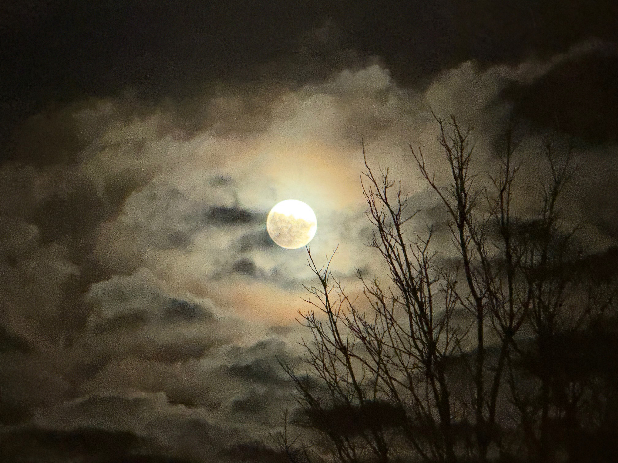 The moon shining behind clouds. There is a silhouette of a tree in the foreground.