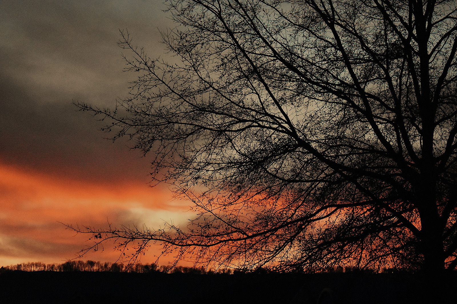 The sun setting over a small hill. The silhouette of a tree in the foreground.