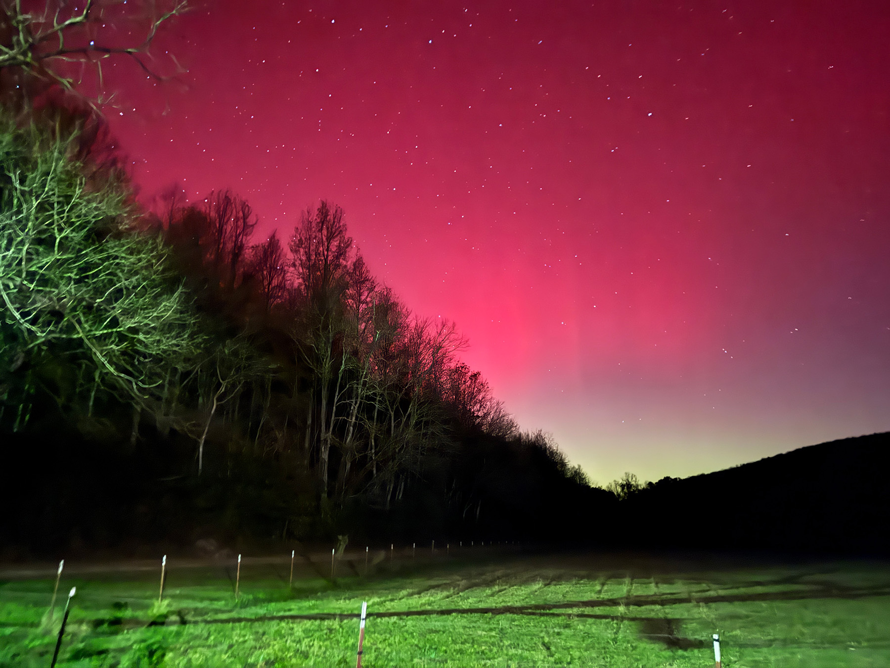 The Northern Lights shining over a field and forest.