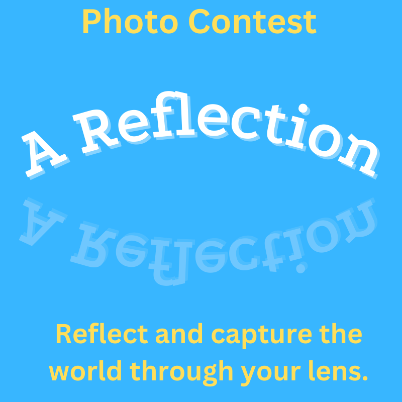 photo contest copy