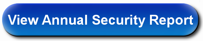 securityreport button