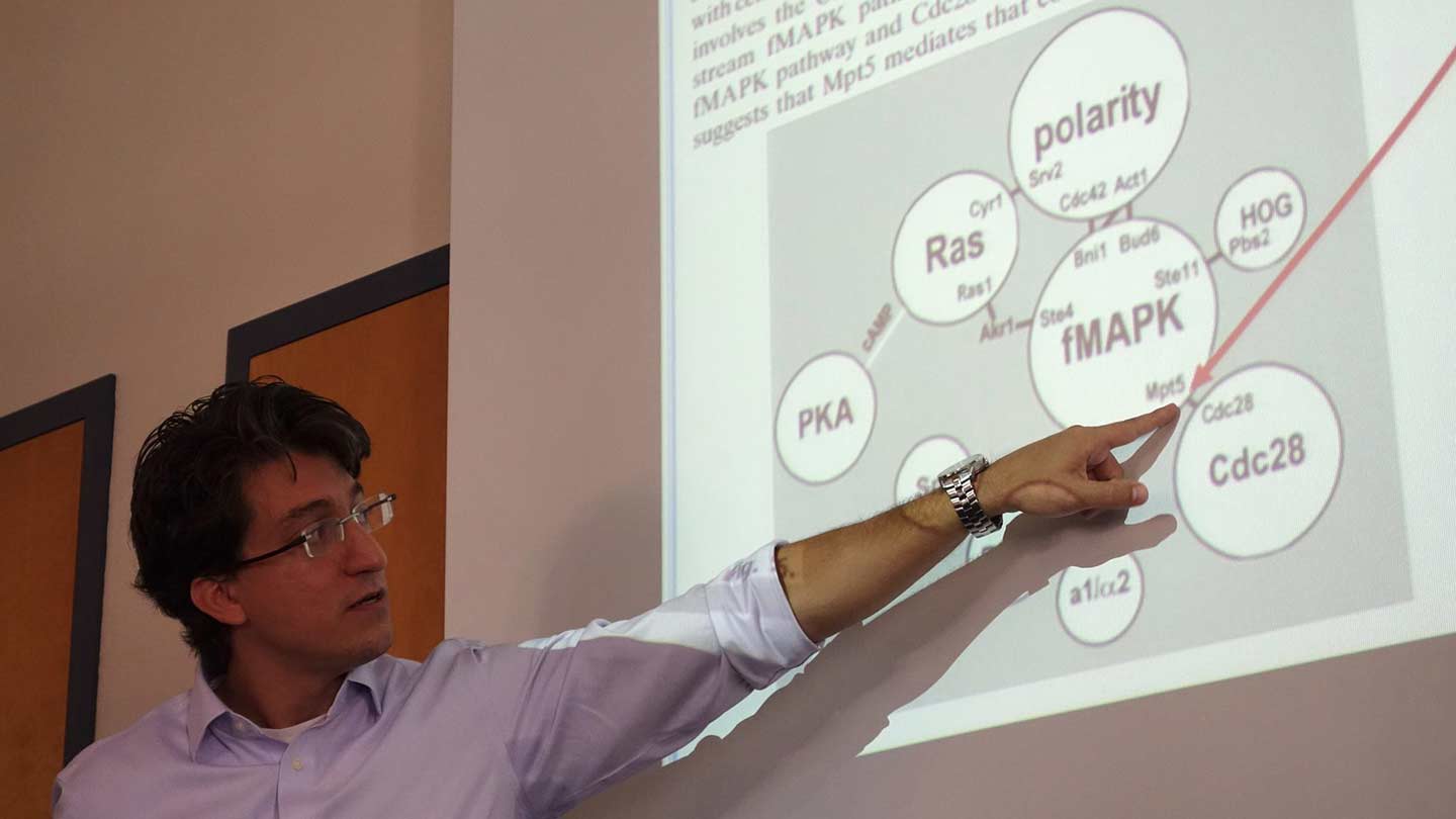 a man gestures at a board