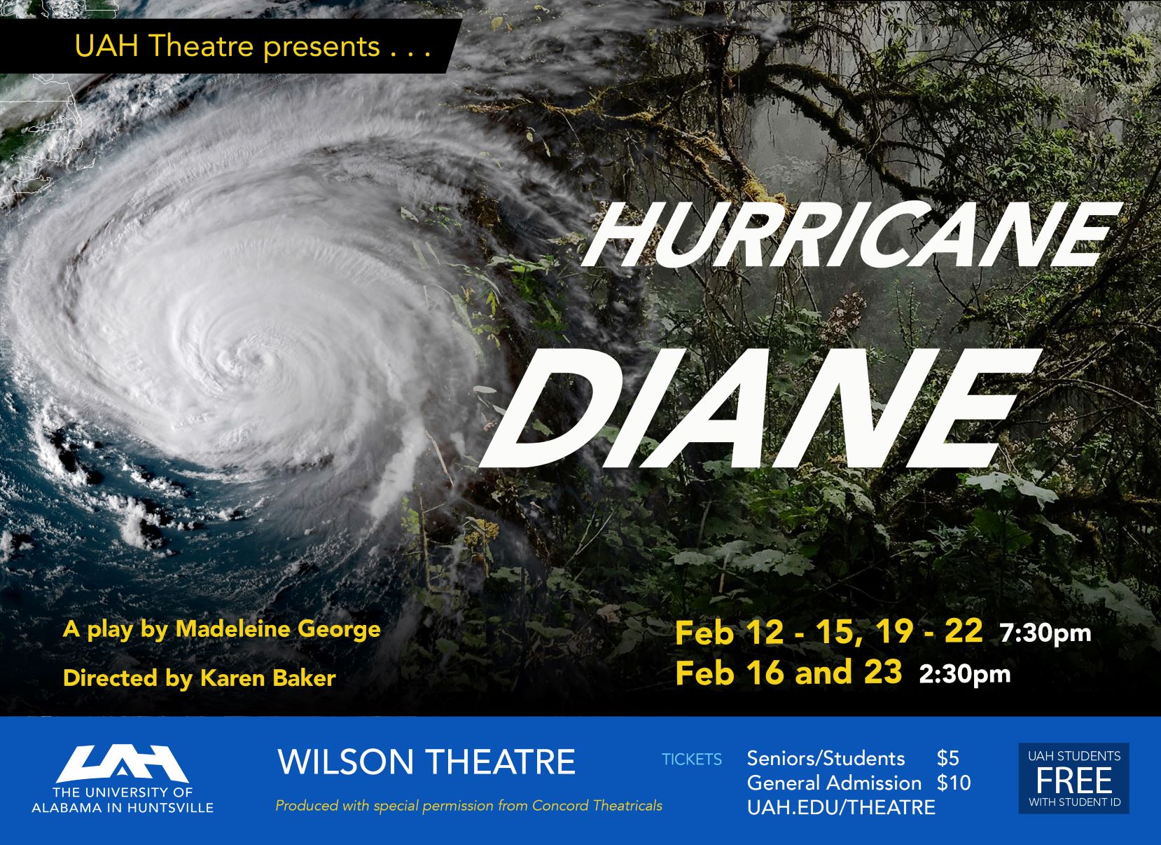 Hurricane Diane Poster