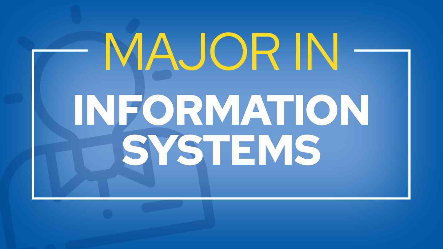 hero banner with lightbulb icon that says Major in Information Systems