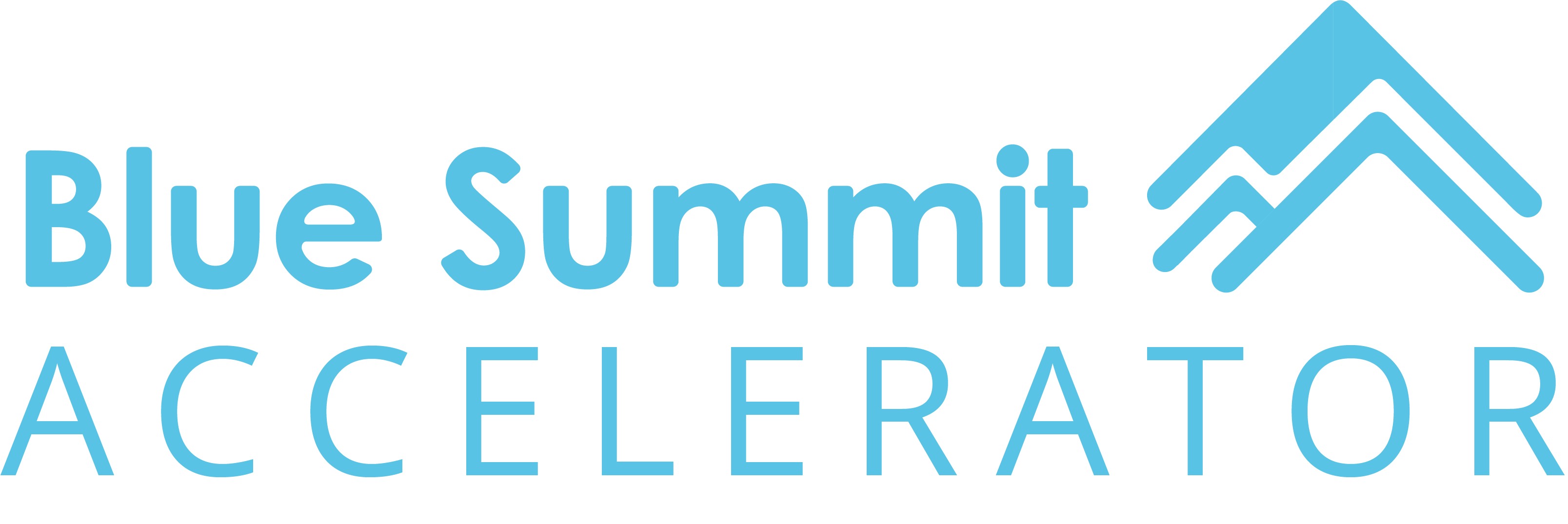 blue summit accelerator logo
