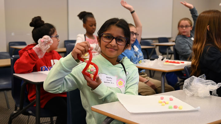 Little girl showing a DNA example toy