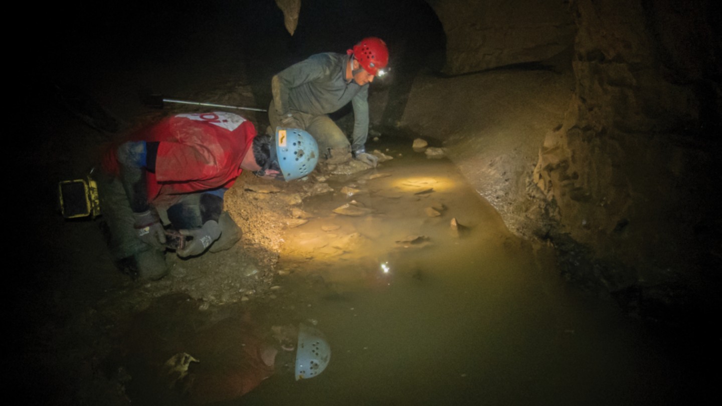 biology students in cave