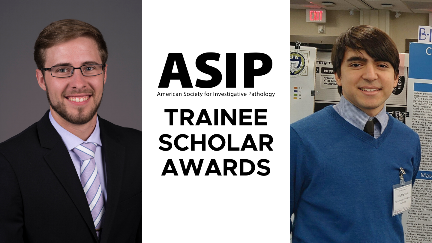 an information graphic that declares the ASIP trainee scholar awards