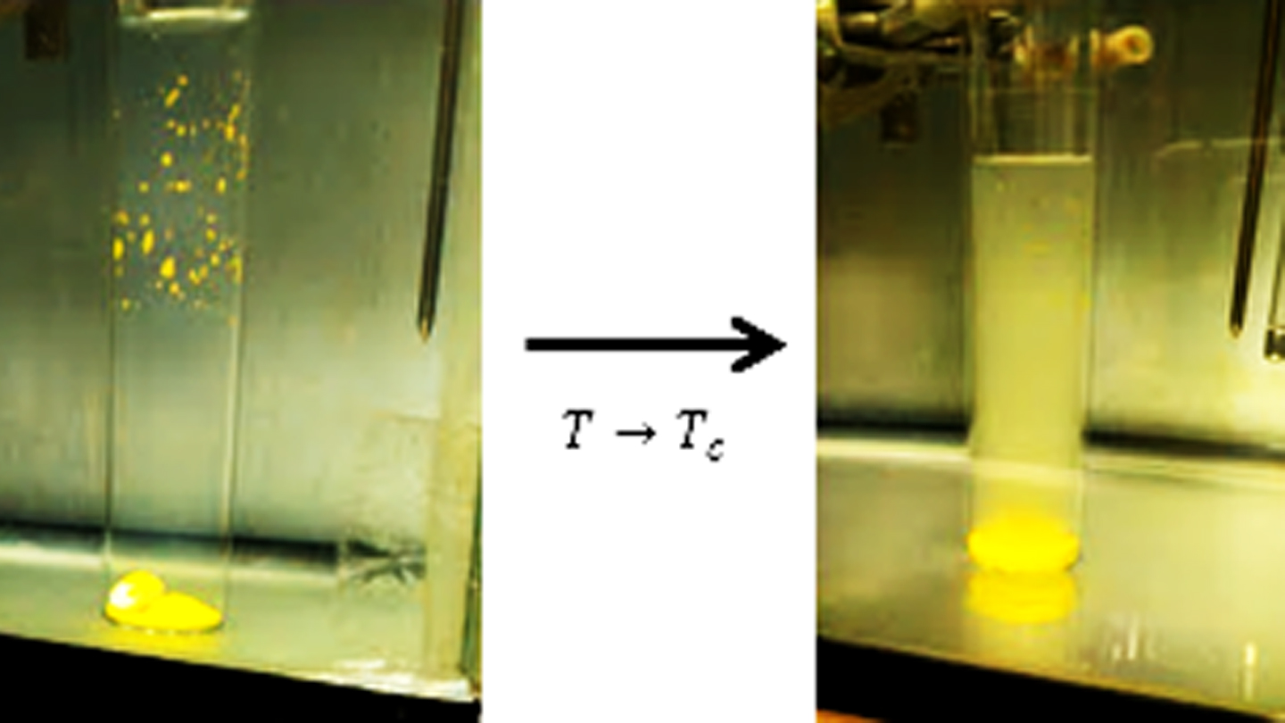 demonstration of equilibria solution critial point.