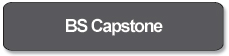 bs capstone_button