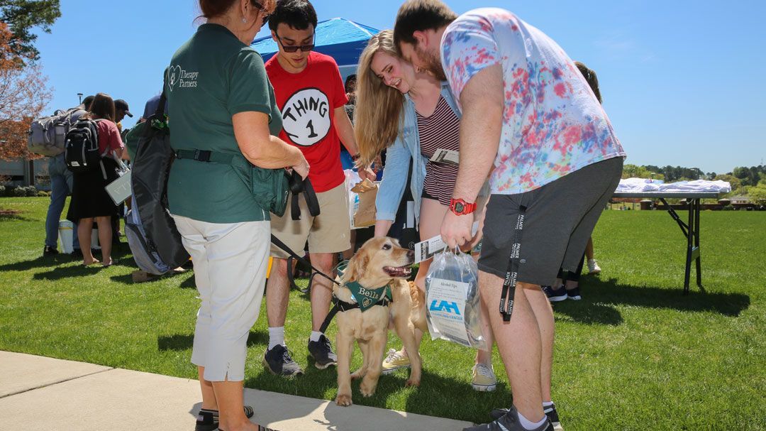 therapy dog comforts people