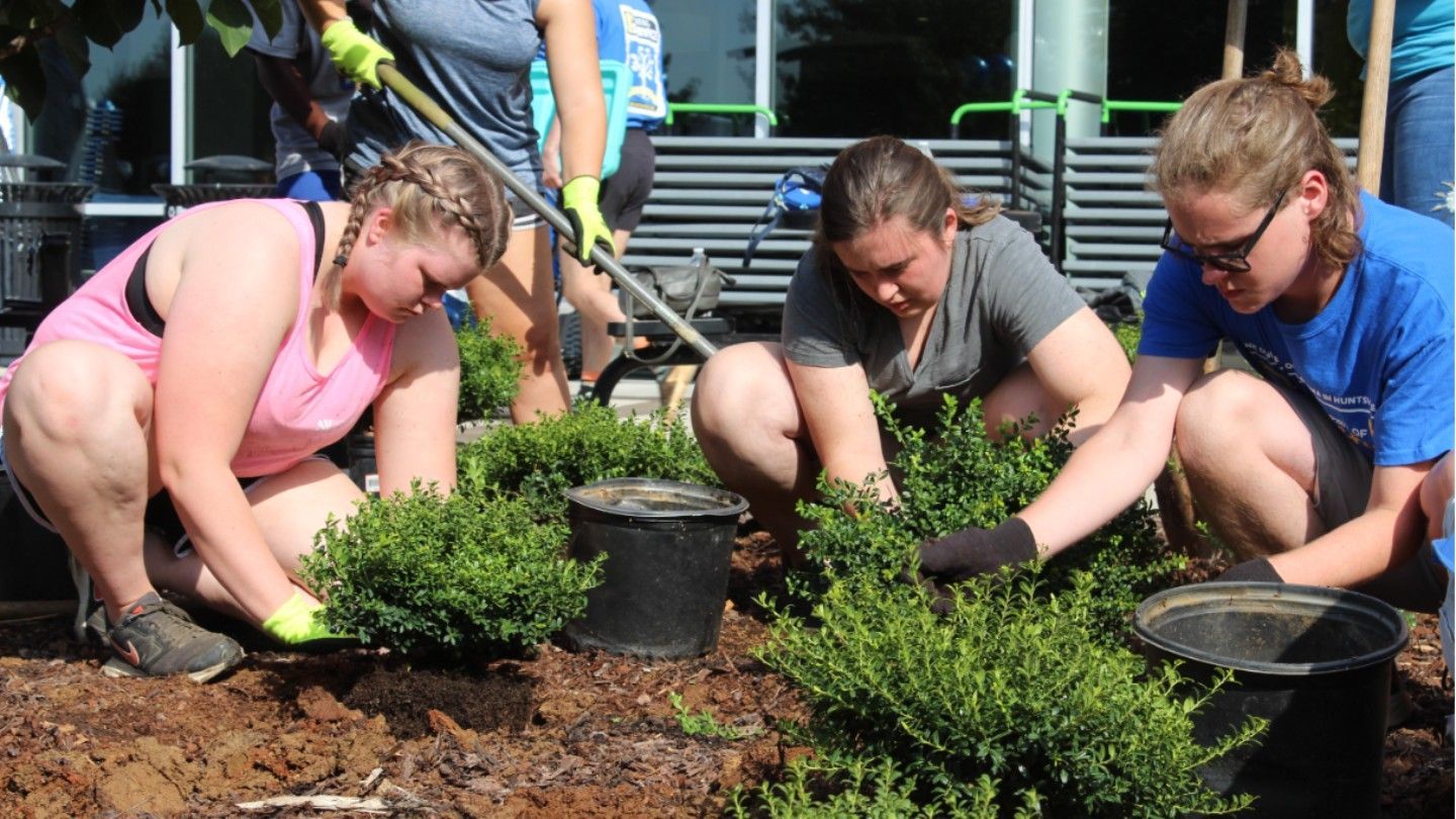 students weed garden beds
